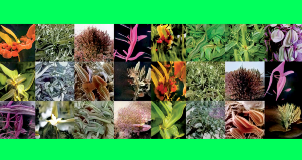 Mundo - Fundada em 1948, a CONIB – Confederação Israelita do Brasil é o órgão de representação e coordenação política da comunidade judaica brasileira. 