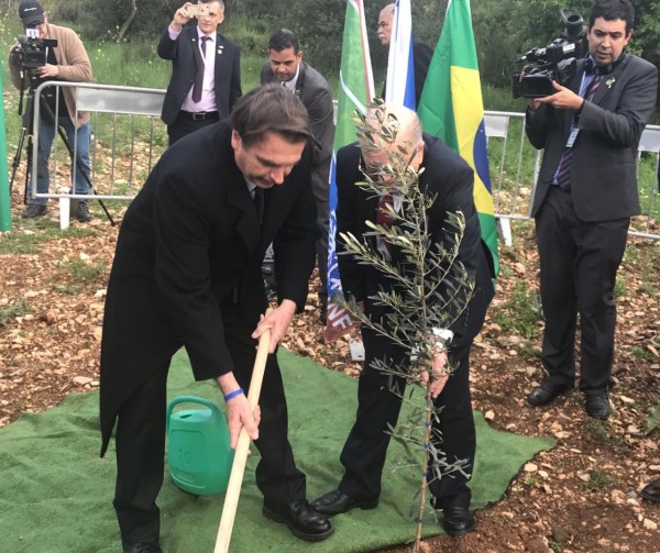 Mundo - Fundada em 1948, a CONIB – Confederação Israelita do Brasil é o órgão de representação e coordenação política da comunidade judaica brasileira. 